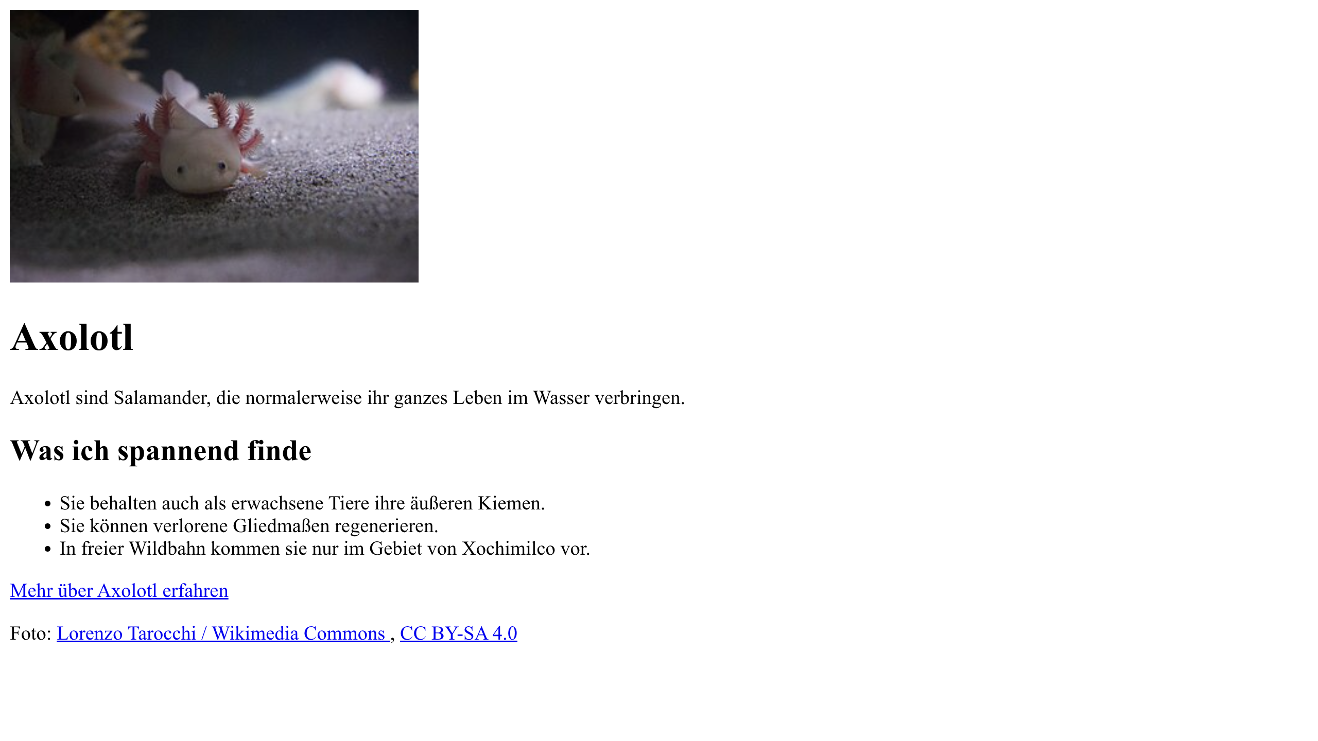 Die Axolotl-Webseite zeigt nun am Ende der Seite einen Bildnachweis.