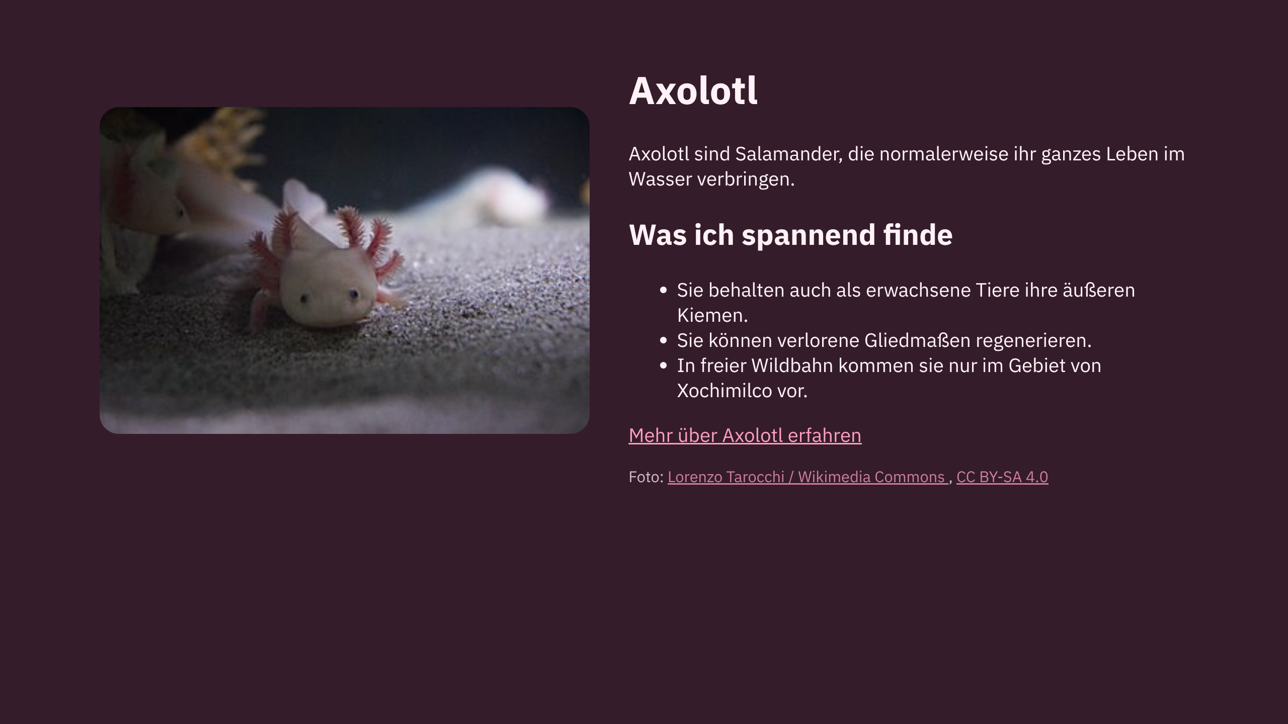 Die gestaltete Axolotl-Webseite zeigt das Bild links und den Text mit Überschrift, Liste und Link rechts daneben.