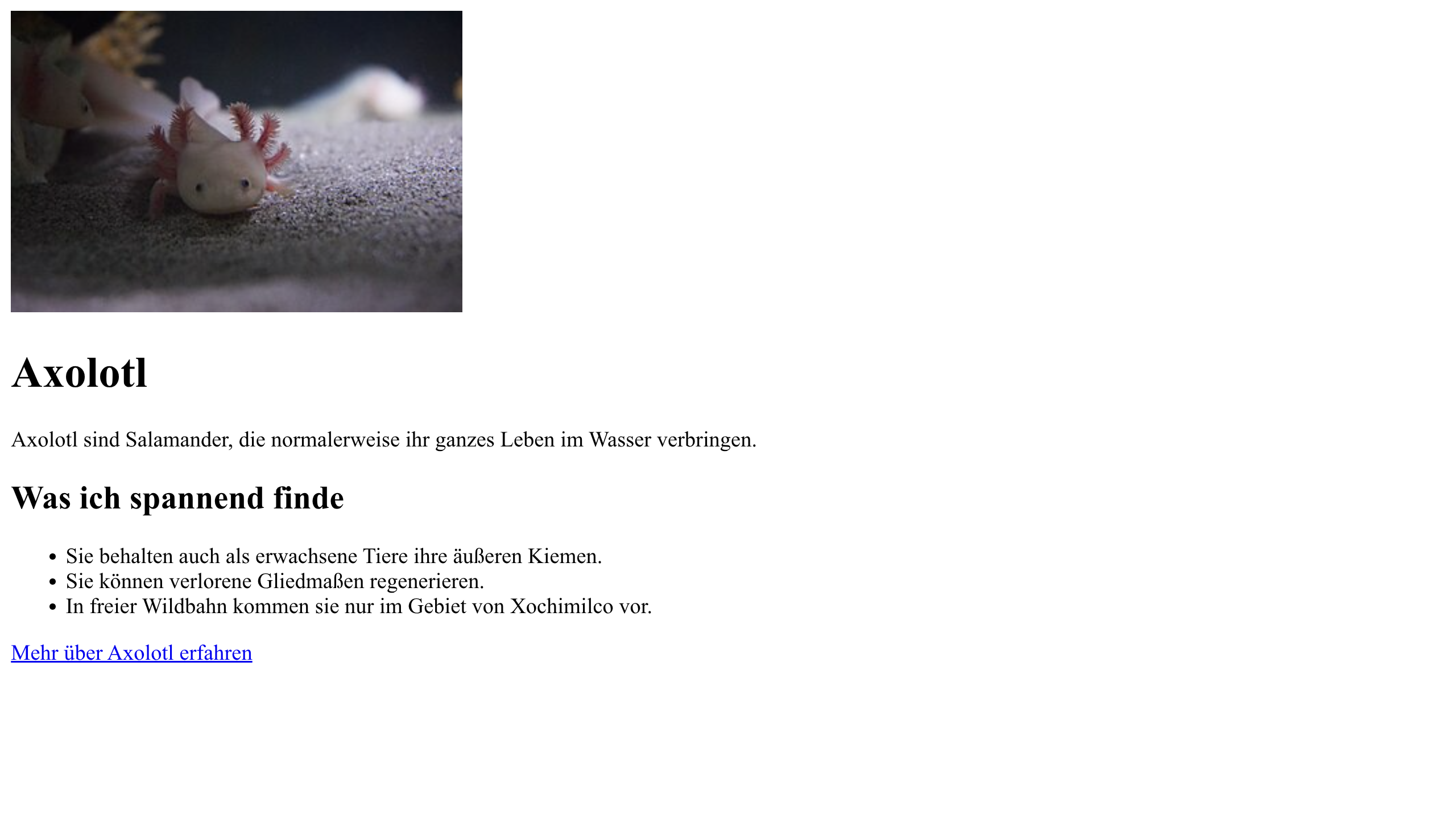 Die Axolotl-Webseite zeigt nun oberhalb der Überschrift ein großes Foto eines Axolotls.