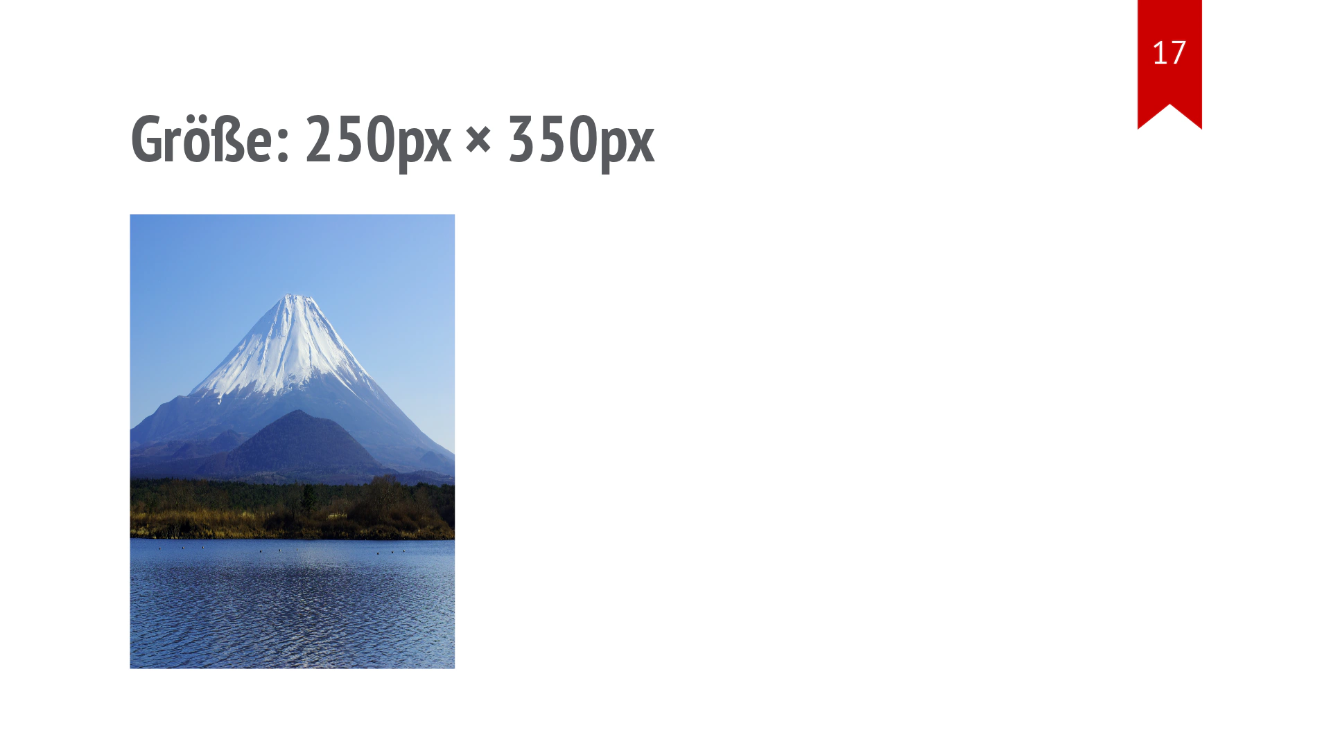Das Fuji-Foto ist durch feste Breite und Höhe sichtbar verzerrt.