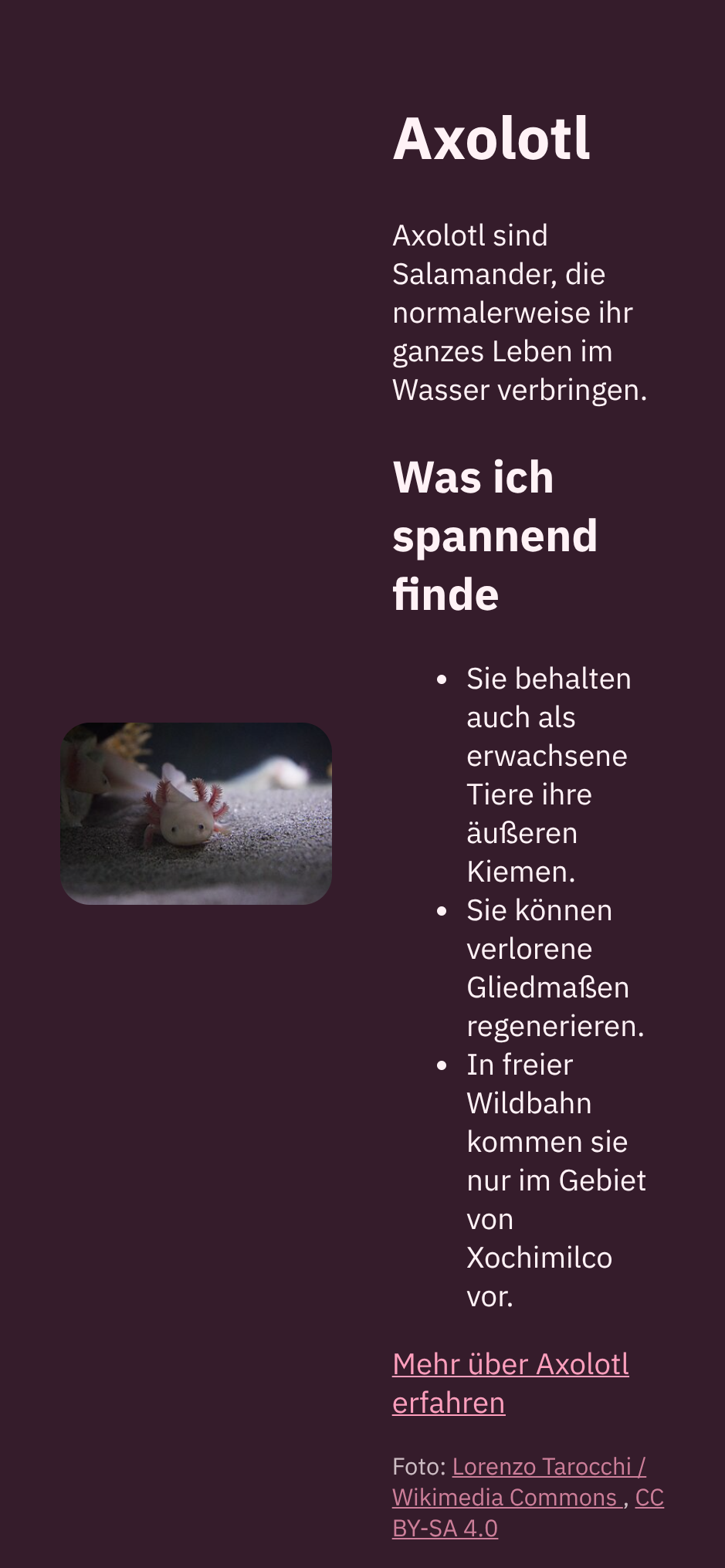 Die Webseite auf einem schmalen Bildschirm vor der Anpassung: Bild und Text werden nebeneinander zusammengedrängt.