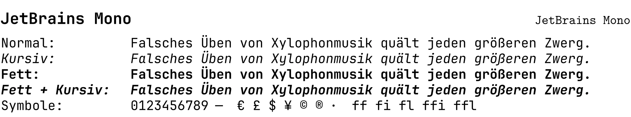 Schriftprobe in JetBrains Mono mit Überschrift, Fließtext und Beispielzeichen.