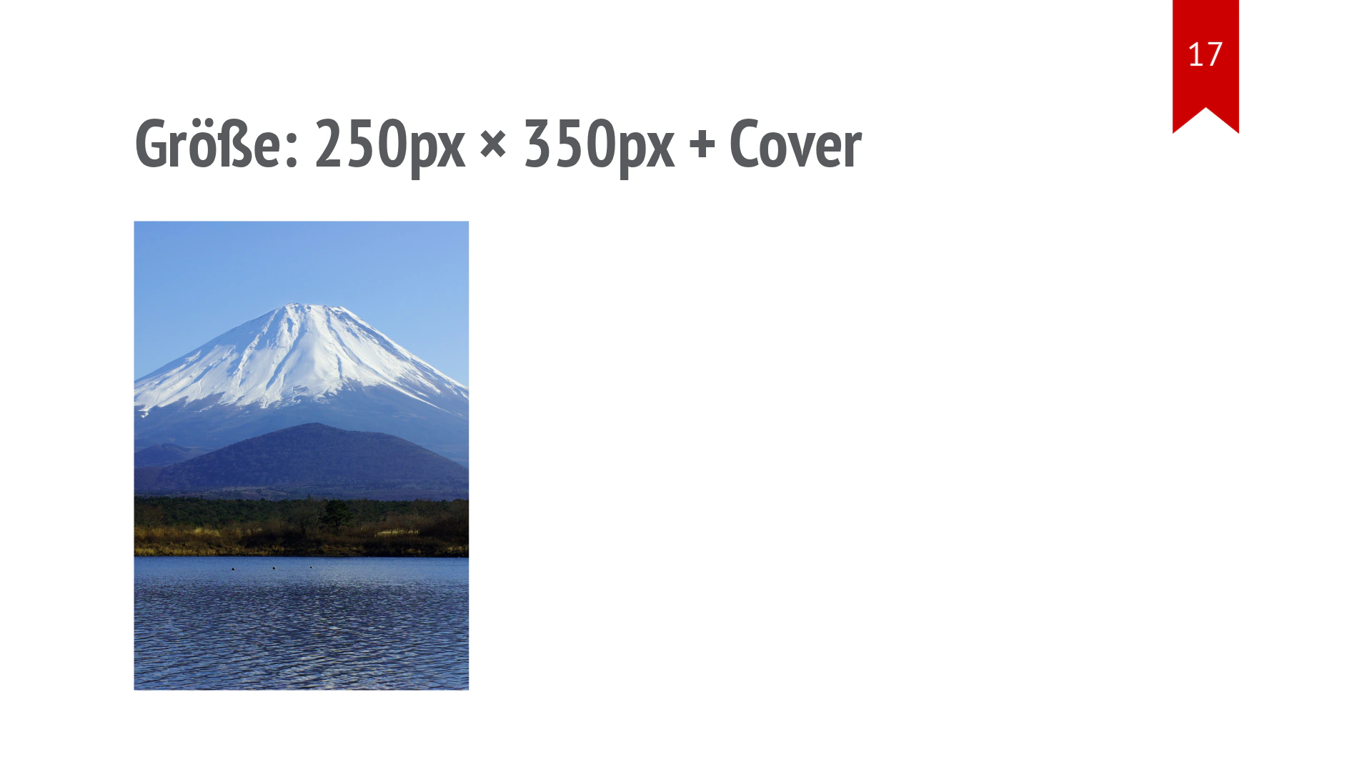 Das Fuji-Foto füllt unverzerrt einen schmalen Rahmen und wird seitlich beschnitten.